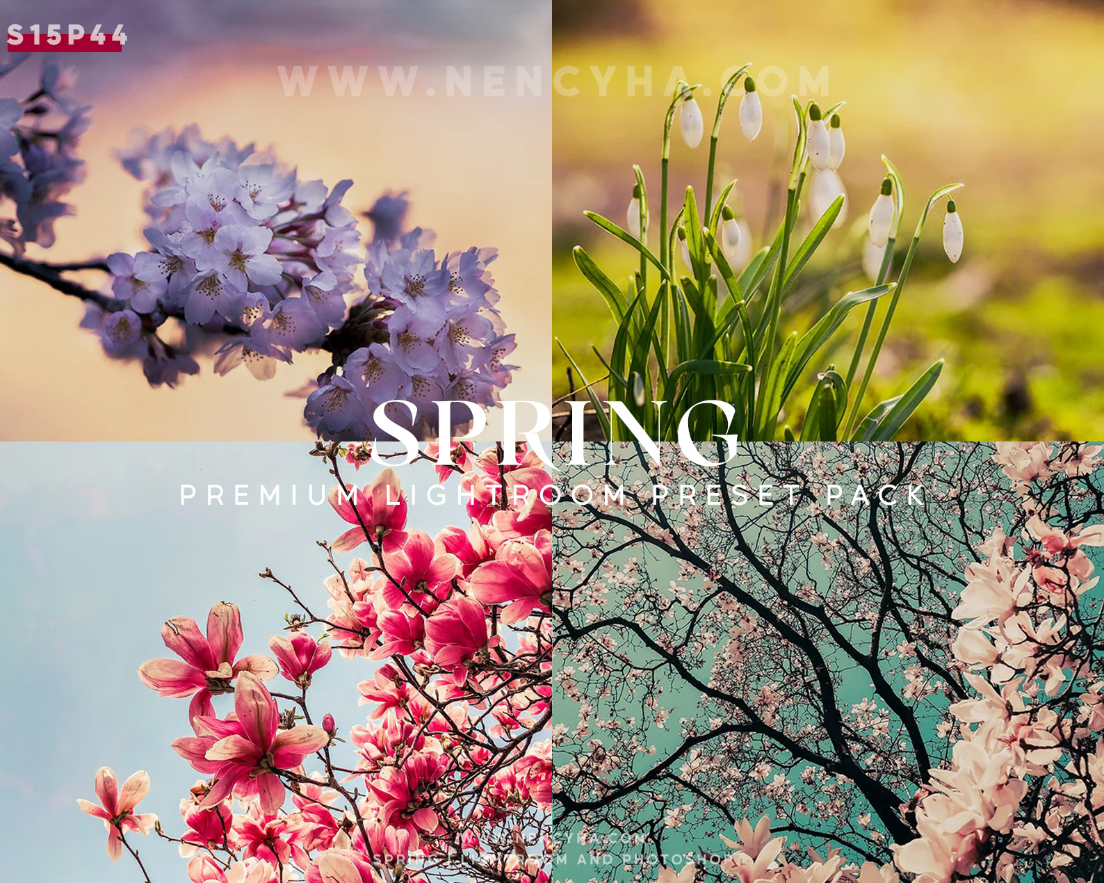 Gói Preset Lightroom Vibrant SPRING chủ đề mùa Xuân và Tết 2025 (xmp/acr, dng) S15P44 1 S15P44