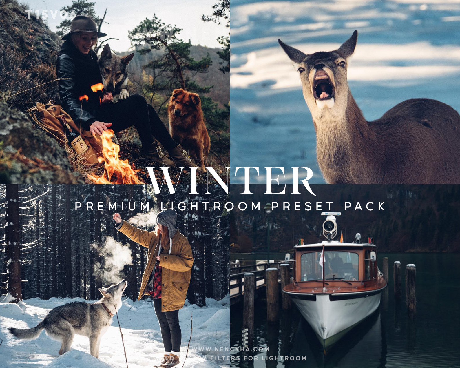 Gói presets được thiết kế riêng cho các cảnh mùa đông và ảnh sương mù (xmp/acr, lrtemplate) T15V06