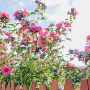 Trang chủ 187 HIGHLIGHT