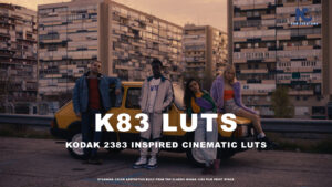 83 LUTs