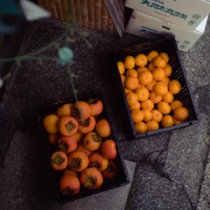 nencyha.com cinematic stills tokyo stills 1