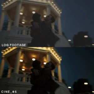 nencyha.com cinematic video luts 4