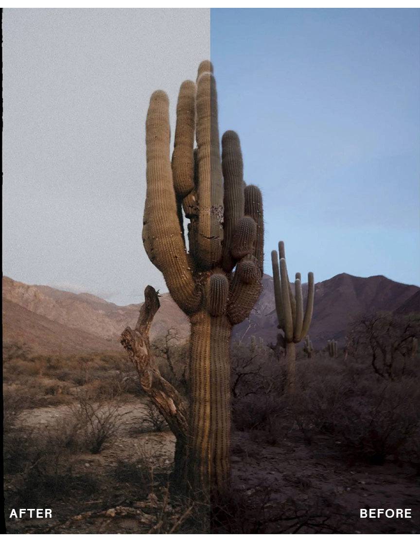 envijon Vintage Photo Pack – Gói Preset và Lớp Phủ Phim – Tinh Hoa Cổ Điển Cho Ống Kính Hiện Đại (xmp/acr, png, jpg) G34L84 5 nencyha.com envijon vintage photo pack 6