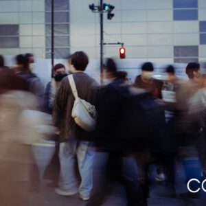 nencyha.com faizal westcott analog 2024 6