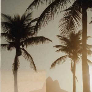 nencyha.com real film photo pack 8