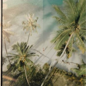 nencyha.com real film photo pack 9