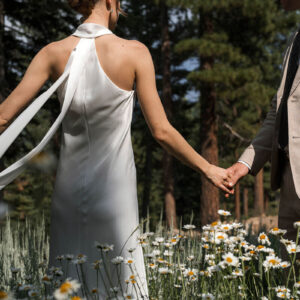 nencyha.com the editorial edit master collection 8