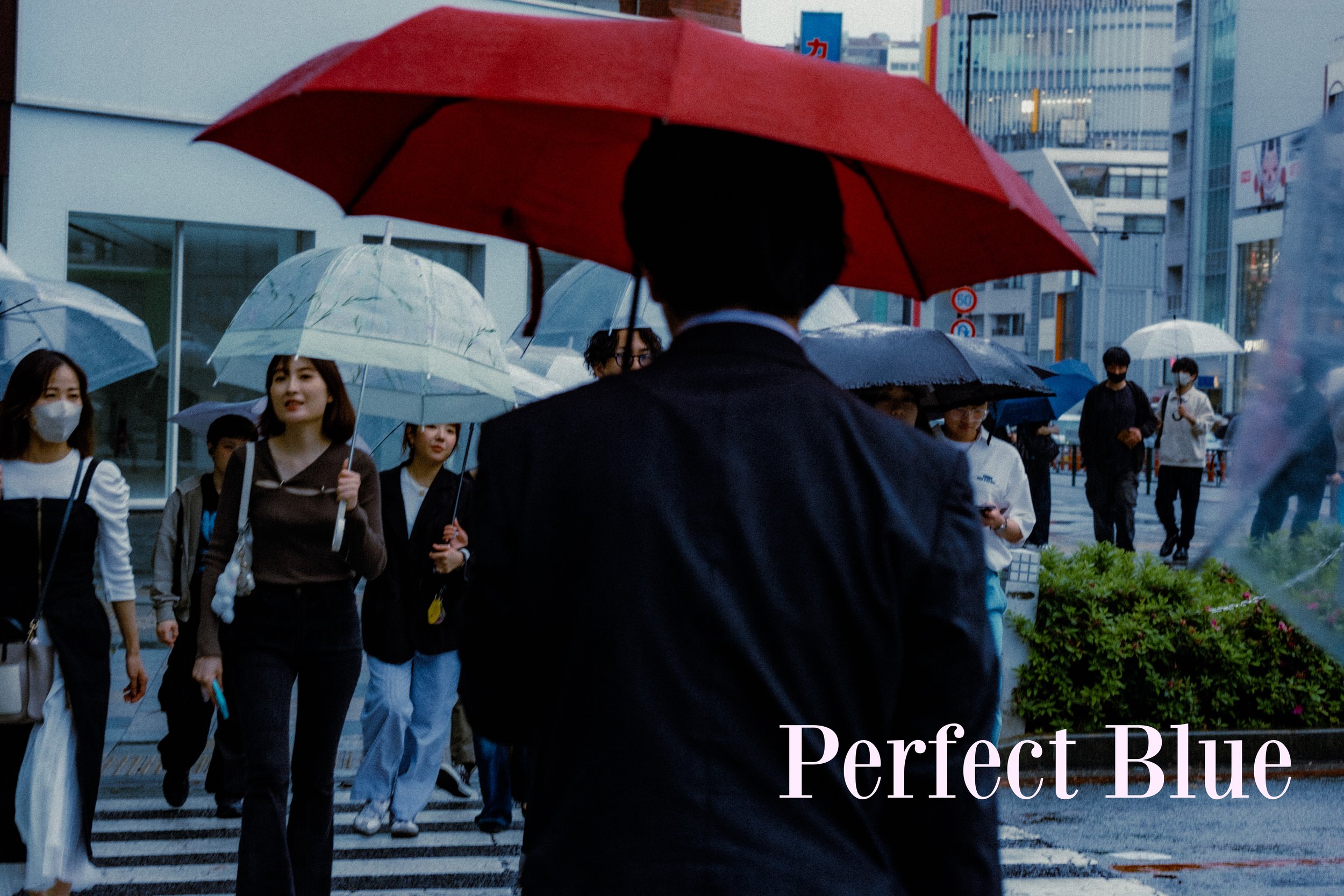 CineFilm - Cinematic Presets – Gói Preset Mang Phong Cách Phim Điện Ảnh Bắt Mắt (xmp/acr, dng) B44M59 5 PerfectBlue