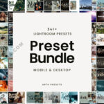 Arta Presets Bundle – Full Collection – Bộ Sưu Tập Hơn 341+ Preset Đình Đám Của Arta Presets (xmp/acr, dng) T48T75