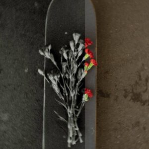 envijon - Black & White Mobile Photo Filters – Tinh Hoa Của Ngày Xưa – Gói Preset Dành Cho Mobile Đơn Sắc Cho Thời Đại Hiện Đại (dng) G41H94 21 envijon black white mobile photo filters nencyha.com 10