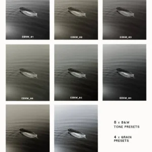 envijon - Black & White Mobile Photo Filters – Tinh Hoa Của Ngày Xưa – Gói Preset Dành Cho Mobile Đơn Sắc Cho Thời Đại Hiện Đại (dng) G41H94 25 envijon black white mobile photo filters nencyha.com 16