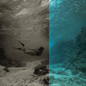 envijon - Black & White Mobile Photo Filters – Tinh Hoa Của Ngày Xưa – Gói Preset Dành Cho Mobile Đơn Sắc Cho Thời Đại Hiện Đại (dng) G41H94 17 envijon black white mobile photo filters nencyha.com 5