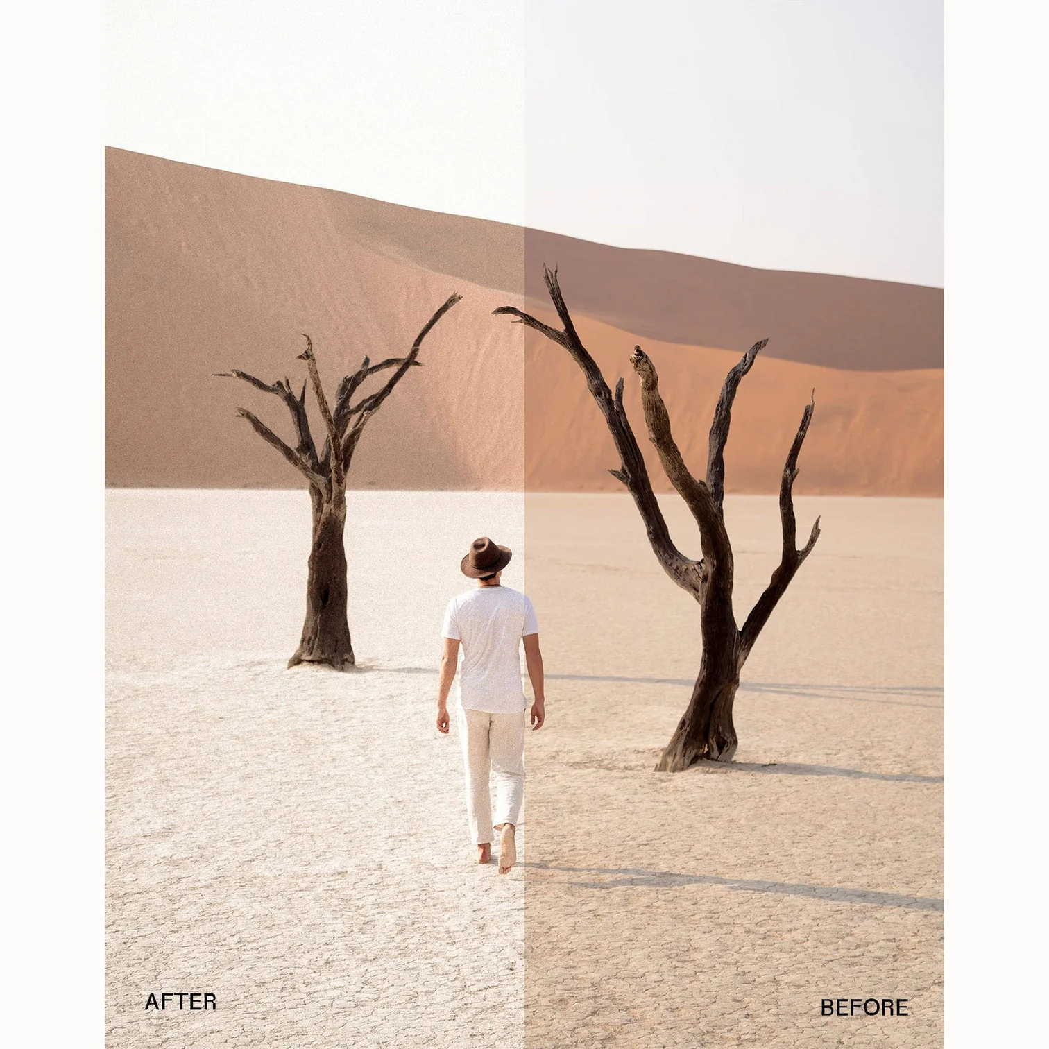 envijon - Modern Classic Collection – Gói Film Borders và Lightroom Presets – Bảng màu pastel và tông màu trầm tạo nên vẻ đẹp vượt thời gian (xmp/acr, png) P42B87 6 envijon modern classic collection nencyha.com 9