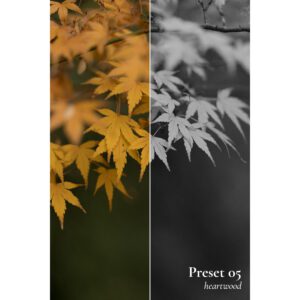 frontier lr preset pack goi presets 07 tone mau phim nhe nhang cho hinh anh cua ban 4