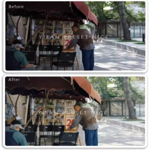 Gói Preset Và LUTs 04 Tone Màu Giả Lập Phim Ektar 100 Đặc Trưng Trung Quốc