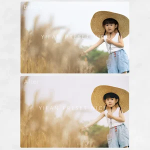 Gói Preset và LUTs 07 Tone Màu Phim Đẹp Và Ấn Tượng Dành Cho Ảnh Chụp Trẻ Em Và Chân Dung (xmp/acr, dng, cube) B53B99