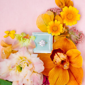 KINDRED - The Mary Costa Collection – Gói preset hoàn hảo cho các nhiếp ảnh gia yêu thích màu sắc rực rỡ và mạnh mẽ (xmp/acr, Profiles) B42T58 16 kindred the mary costa collection nencyha.com 4