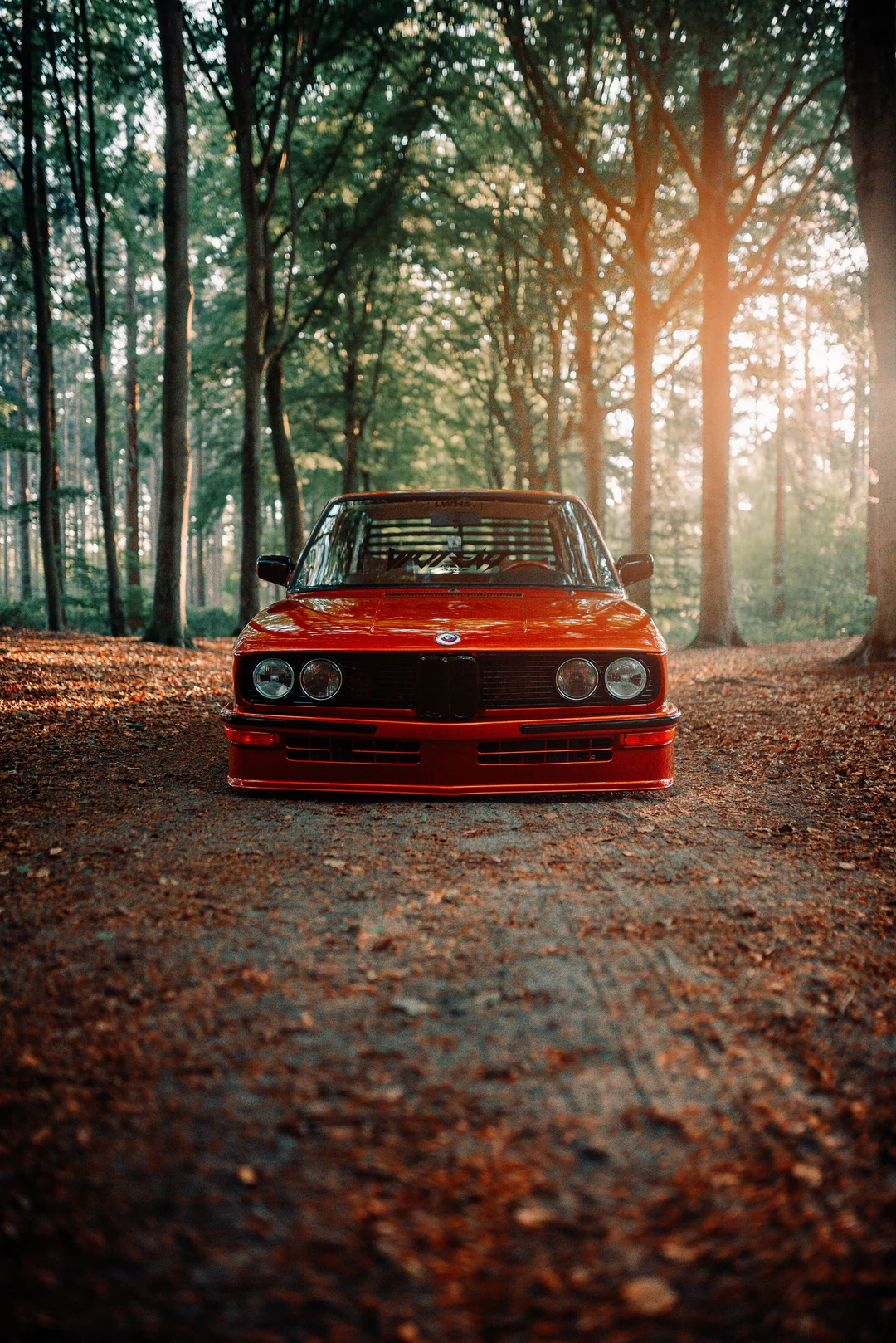 2021 THE HOLY GRAIL V2 (15 PRESETS BUNDLE!) – Gói preset tone màu xanh lá cây và màu cát phong cách (xmp/acr) B44L14 16 mike crawat 2021 the holy grail v2 presets desktop nencyha.com 15