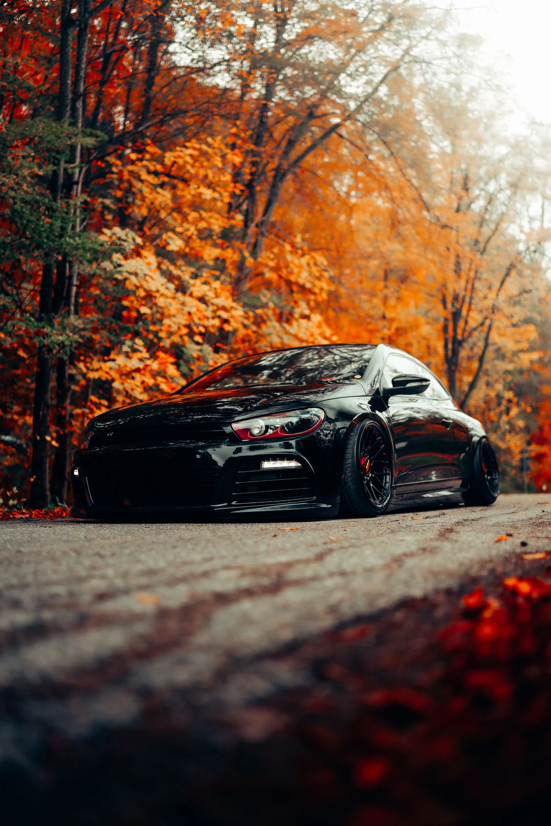 2021 THE HOLY GRAIL V2 (15 PRESETS BUNDLE!) – Gói preset tone màu xanh lá cây và màu cát phong cách (xmp/acr) B44L14 7 mike crawat 2021 the holy grail v2 presets desktop nencyha.com 6