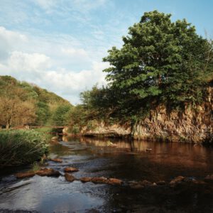 nencyha.com gold 200 advanced for capture one 10