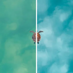 Jaxon Roberts - Coastal Blues Preset Pack – Gói preset 15 preset thiết kế riêng cho nhiếp ảnh đại dương - du lịch và bãi biển (xmp/acr, dng) T40H95 15 nencyha.com jaxon roberts coastal blues preset pack 9