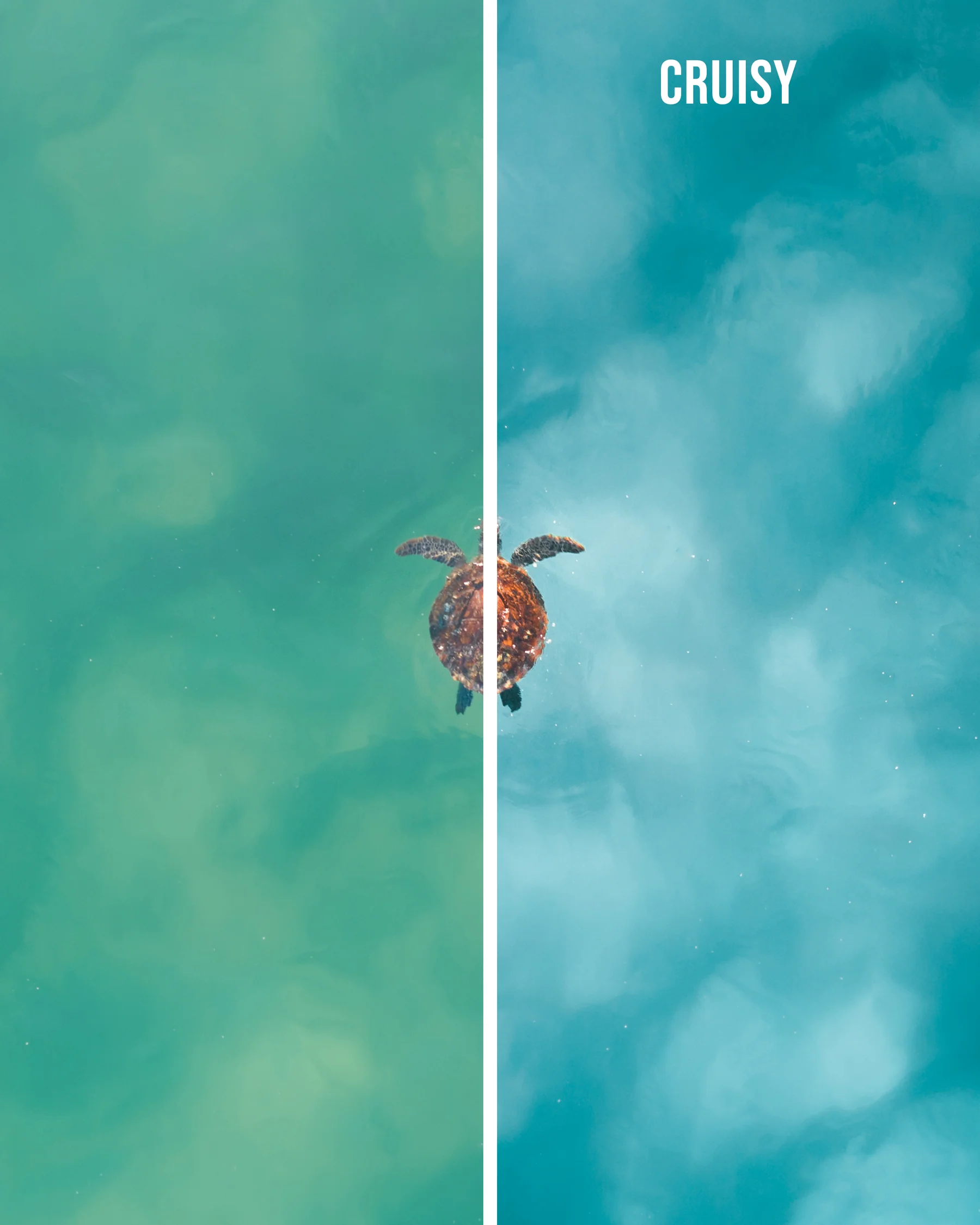 Jaxon Roberts - Coastal Blues Preset Pack – Gói preset 15 preset thiết kế riêng cho nhiếp ảnh đại dương - du lịch và bãi biển (xmp/acr, dng) T40H95 8 nencyha.com jaxon roberts coastal blues preset pack 9