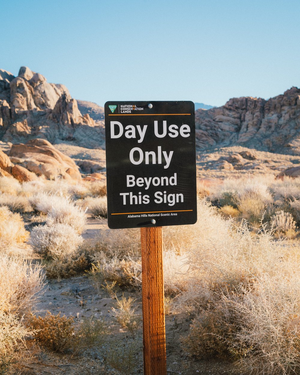 VGP Portra 400 – Một bản mô phỏng Portra 400 giống hệt phim (xmp/acr, dng) B38V26 5 nencyha.com portra400 5