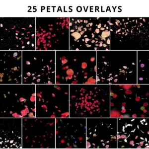 photowhoa 580 premium heart overlays nencyha.com 10