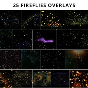 photowhoa 580 premium heart overlays nencyha.com 9