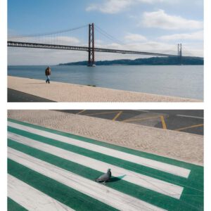 Trang chủ 53 roman fox snaps by foxy 2024 presets 0