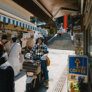 roman fox snaps by foxy 2024 presets 5