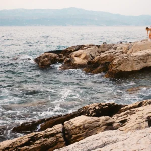 the archetype process the yellow pack i bo profiles portra 400 moi nhiep anh gia phai co 6