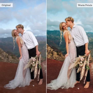 warm petals single color palette presets goi presets cho phong cach chup anh cuoi dinh hon va chan dung 5