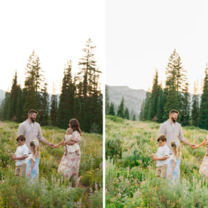 breanne weston presets classic desktop only goi preset danh cho anh chan dung gia dinh 2