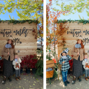 breanne weston presets classic desktop only goi preset danh cho anh chan dung gia dinh 8