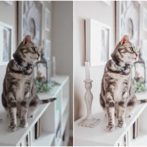 clean bright lifestyle lightroom presets goi preset 18 tone mau sach se va tuoi sang 11