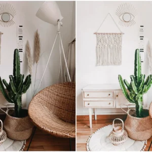 clean bright lifestyle lightroom presets goi preset 18 tone mau sach se va tuoi sang 6