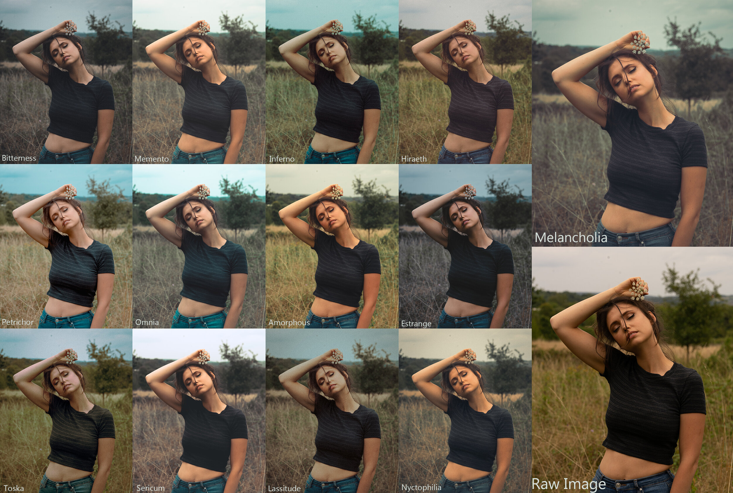 Kai Boettcher – Renaissance Preset Pack – Gói Preset 13 Tone Màu Phong Cách Họa Sĩ Thời Phục Hưng (xmp/acr, dng, lr) L60B87 2 kai boettcher renaissance preset pack goi preset 13 tone mau phong cach hoa si thoi phuc hung 0