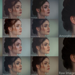 Kai Boettcher – Renaissance Preset Pack – Gói Preset 13 Tone Màu Phong Cách Họa Sĩ Thời Phục Hưng (xmp/acr, dng, lr) L60B87 9 kai boettcher renaissance preset pack goi preset 13 tone mau phong cach hoa si thoi phuc hung 4