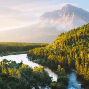 reneeroaming essentials desktop pack goi preset thiet ke cho nhiep anh chan dung phong canh 3