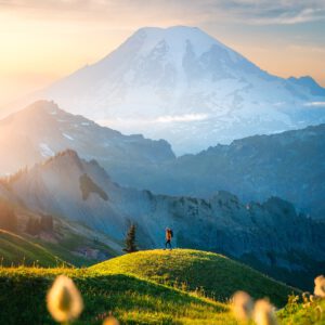 reneeroaming essentials desktop pack goi preset thiet ke cho nhiep anh chan dung phong canh 6