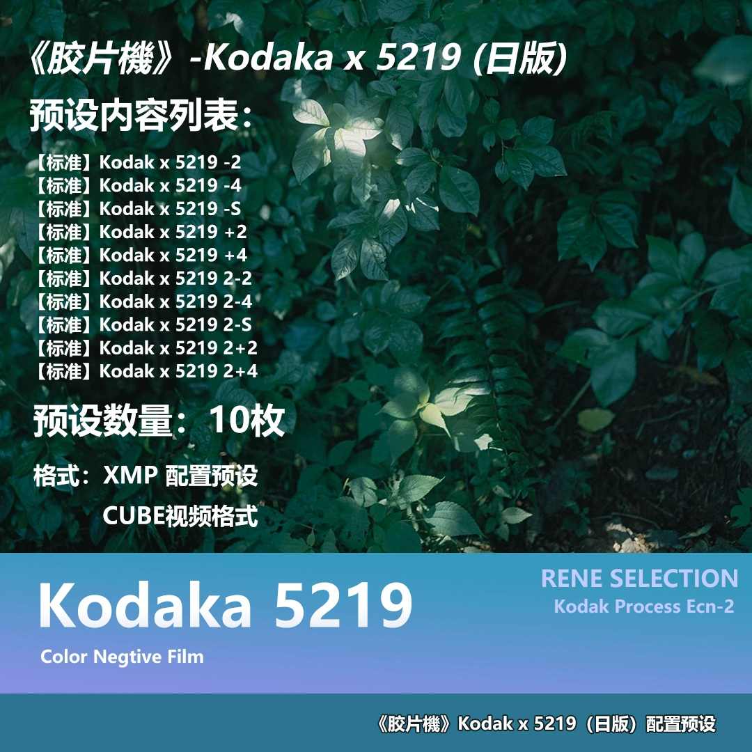 Bộ Preset và LUTs Kodak 5219 Phong Cách Film Nhật Bản 2025 (xmp/acr, cube) C73V06 5 bo preset va luts kodak 5219 phong cach phim dien anh nhat ban 2025 0