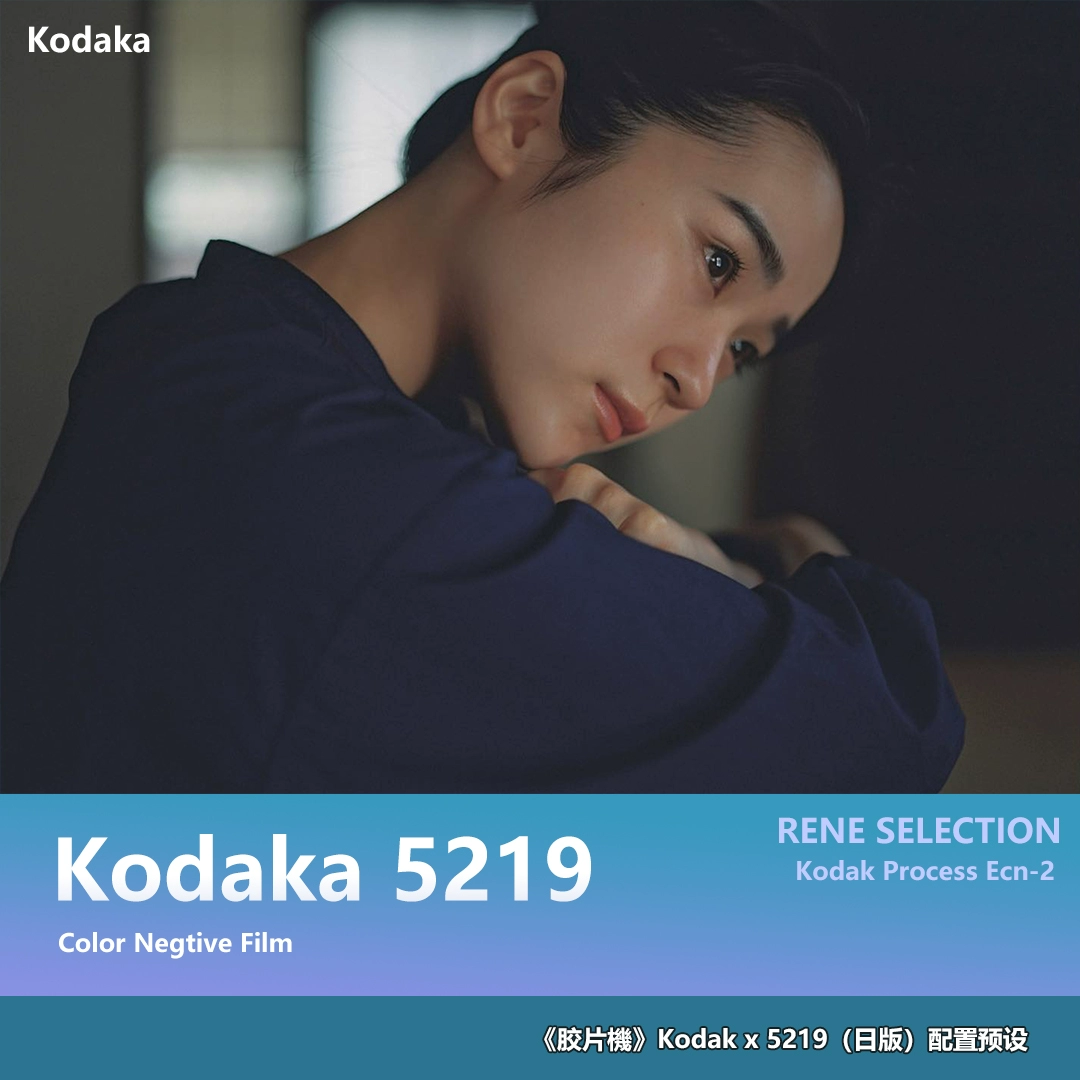 Bộ Preset và LUTs Kodak 5219 Phong Cách Phim Điện Ảnh Nhật Bản 2025 (xmp/acr, cube) C73V06