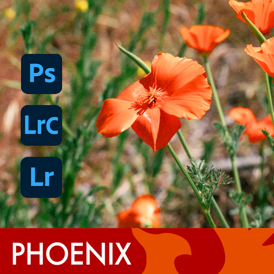 Film is Fun - Phoenix 200 Film Emulation Presets - Gói preset mô phỏng Film màu đầu tiên được sản xuất bởi Harman (dng, xmp/acr, atn) H72M50 2 Film is Fun - Phoenix 200 Film Emulation Presets - Gói preset mô phỏng Film màu đầu tiên được sản xuất bởi Harman (dng, xmp/acr, atn) H72M50