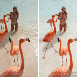 Find Us Lost - Greek Islands Collection – Bộ Sưu Tập Preset Dành Cho Ảnh Du Lịch (xmp/acr) L64T96 19 find us lost greek islands collection bo suu tap preset danh cho anh du lich 6