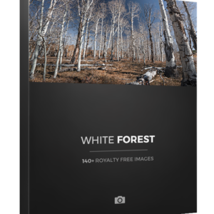 Photobash - White Forest – Bộ sưu tập khu rừng phủ đầy cây bạch dương (JPG) X69P67