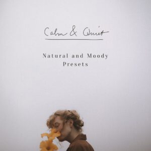 tina sosna photo preset package calm quiet lightroom desktop mobile goi preset mau film mang den su yen tinh trong tac pham cua ban 12