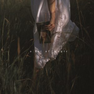 tina sosna photo preset package calm quiet lightroom desktop mobile goi preset mau film mang den su yen tinh trong tac pham cua ban 2