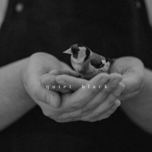 tina sosna photo preset package calm quiet lightroom desktop mobile goi preset mau film mang den su yen tinh trong tac pham cua ban 6