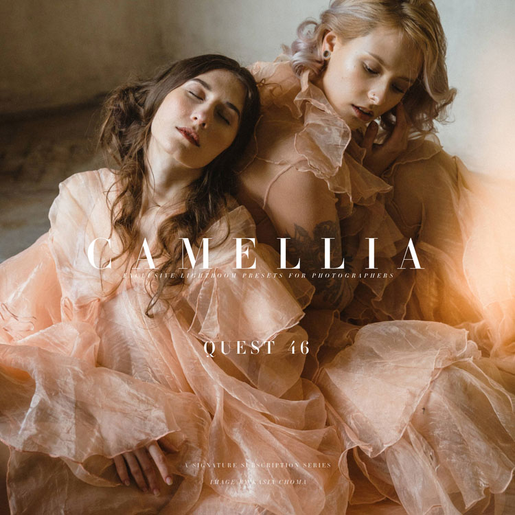 Archipelago Quest 46 Camellia – Bộ sưu tập Preset lấy cảm hứng từ bảng màu tinh tế của mùa xuân (xmp/acr) A75X31 1 Archipelago Quest 46 Camellia – Bộ sưu tập Preset lấy cảm hứng từ bảng màu tinh tế của mùa xuân (xmp/acr) A75X31
